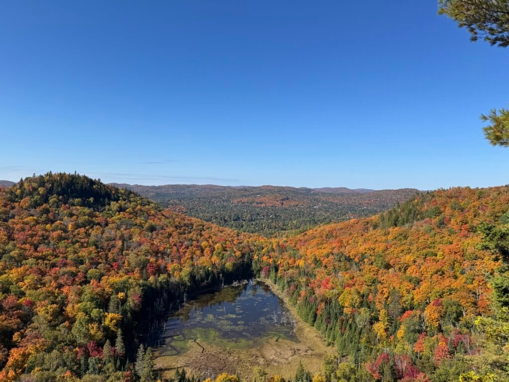 Mont-Tremblan Sunrise, Music: instrumental track from Rossita's Hamlet Sessions